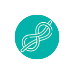 Fiber